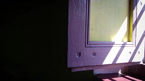 A window softly shimmering in the dark, captured in a time lapse video. Stock Footage 312310099