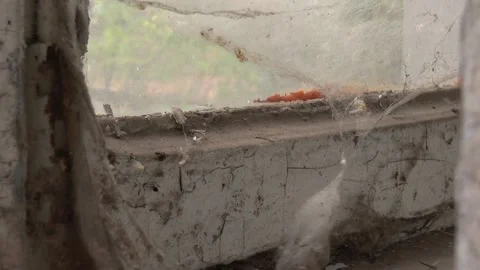 A window with a spider web of a house with ghosts. Close-up. Stock Footage 89020392