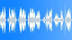Window SqueegeeSound Effect