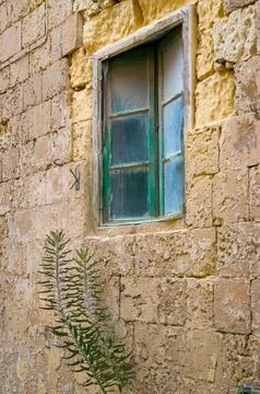 Window, Stone, and Persistent Growth Stock Photos