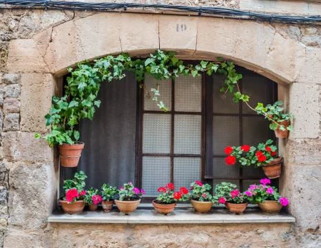 A window surrounded by flower pots Stock Photos