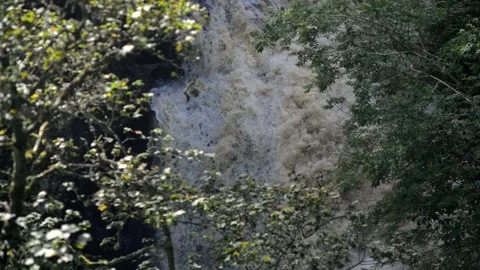 Window Through Trees Reveals Cascading Scottish Waterfall Stock Footage 277334978