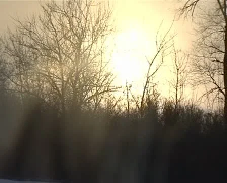 Window in the train 動画素材 10799146