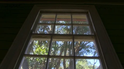 Window with trees outside Stock Footage 84806487