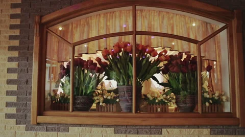 Window With Tulips Video stock 32172278