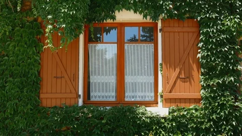 Window of a typical Annecy house covered by ivy, France Stock Footage 91287199