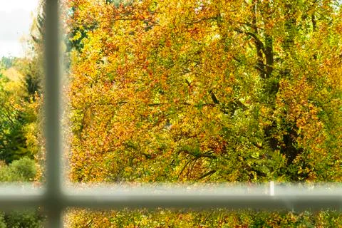 Window view (autumn) Stock Photos