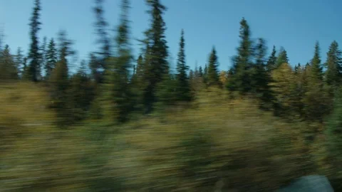 Window View of Autumn Trees passing the Canadian Train Stock Footage 92691016