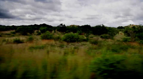 Window View From Bus, Car Stock Footage 39115299
