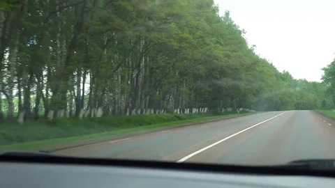 Window View from a Car, Bus, Train. Traveling HD videos Stock Footage 76208713