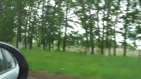 Window View from a Car, Bus, Train. Traveling HD videos Stock Footage 76208725