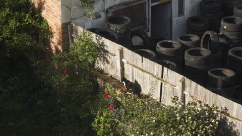Window View of a Cat Sprawling in a Backyard During the Evening Stock Footage 335077589