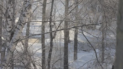 Window view on falling snow in sunny day. Stock Footage 100618359