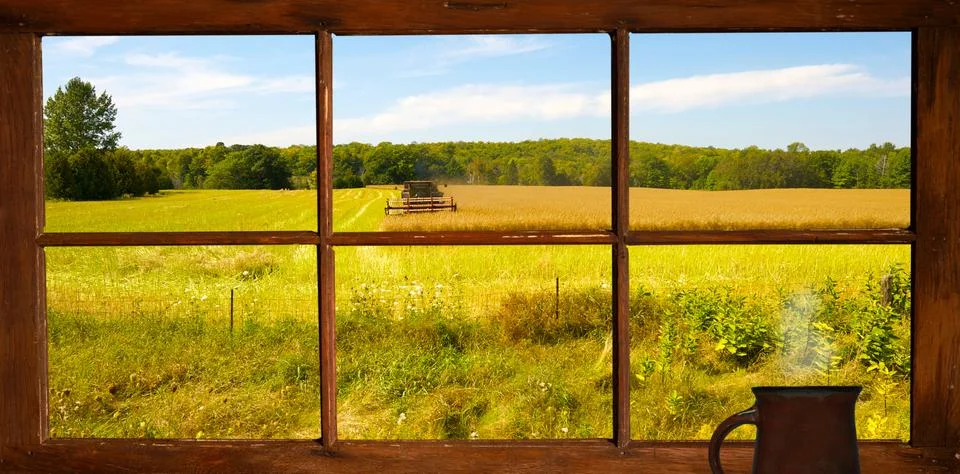Window view field. Stock Photos