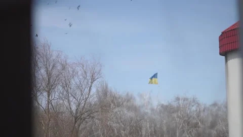 Window view of a flag of Ukraine ithe middle of the park, flock of birds 스톡 동영상 178523168