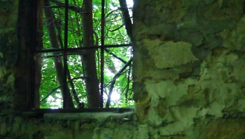 Window with a view Stock Footage 6225714