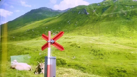Window View From Glacier Express with Swiss Alps and Cows Stockbeeldmateriaal 285498699