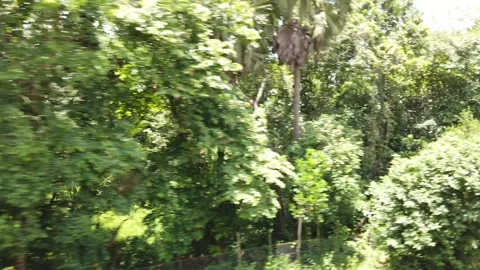 Window View from Indian Train Journey 4K Stock Footage. Indian Railways. Stock Footage 293341678