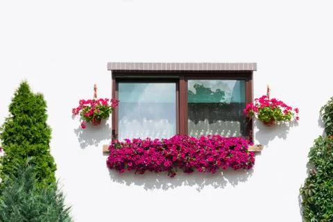 Window view outside in a white building which is decorated with flowers in a Stock Photos