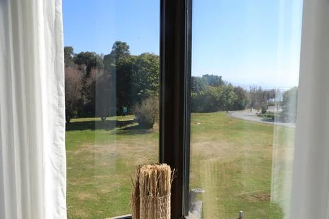 Window view reveals open grassy field with scattered trees and clear blue sky Stock Photos