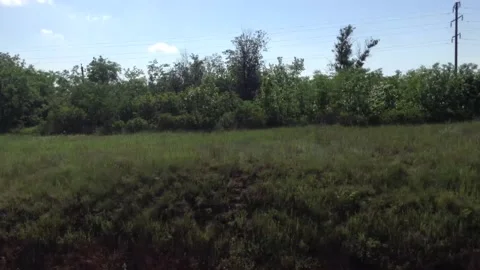 Window view From a running Train with sky , Green grass and trees in Summer 2 Stock Footage 167890960