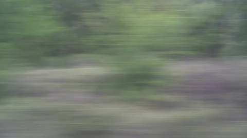 Window View from Train, Car or Bus, in 4K, No Color Correction Видео 90066776