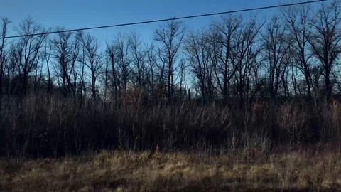 Window View from Train, Car or Bus, No edit, No Color Correction Stock Footage 120276663