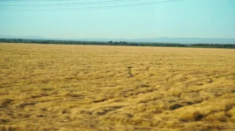 Window view from a train Video stock 64895175