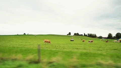 Window view from a train while passing meadows in Europe 스톡 동영상 98072283
