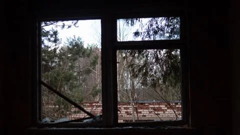 Window view of trees and a building in an abandoned location during daytime with Stock-Fotos