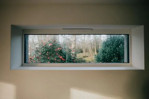 A window with a view of trees and bushes Stock Photos