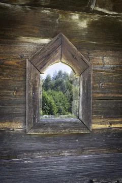 A window with a view of trees and a reflection of the trees in the window Stock Photos