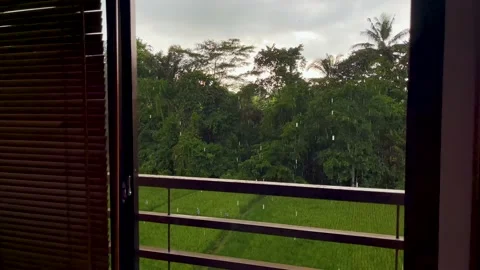 Window view of tropical downpour rain and swaying palm leaves on Bali island  스톡 동영상 201406002