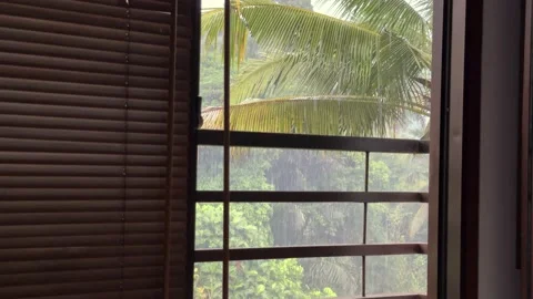 Window view of tropical downpour rain and swaying palm leaves on Bali island Video stock 203260327