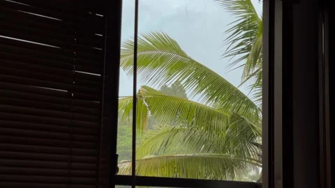 Window view of tropical downpour rain and swaying palm leaves on Bali island  Vídeo Stock 208582820