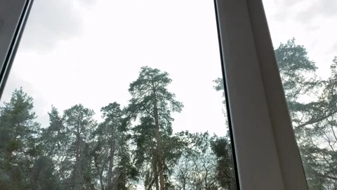 Window. View from the window to a gloomy forest in cloudy weather. Vidéo 259159102