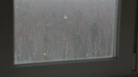 Window view of the winter forest Vídeo Stock 126700309
