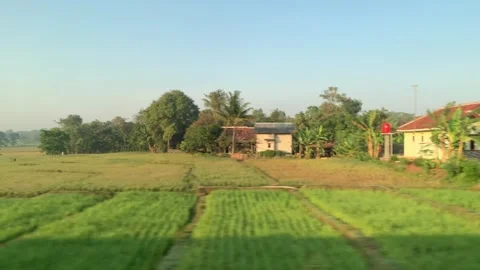 Window Views from Train in Java Island On the Morning Stock Footage 247479754