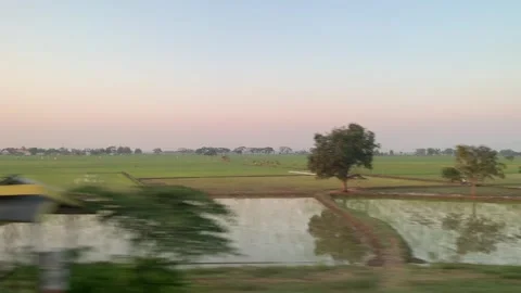 Window Views from Train in Java Island On the Morning Stock Footage 247479871