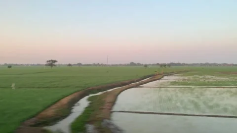 Window Views from Train in Java Island On the Morning Stock Footage 247479874