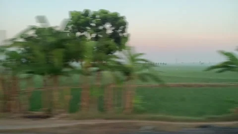 Window Views from Train in Java Island On the Morning Stock Footage 247479897