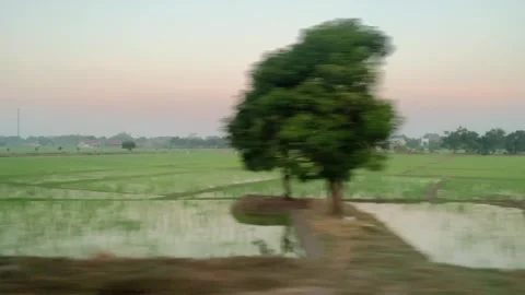 Window Views from Train in Java Island On the Morning Stock Footage 247479918