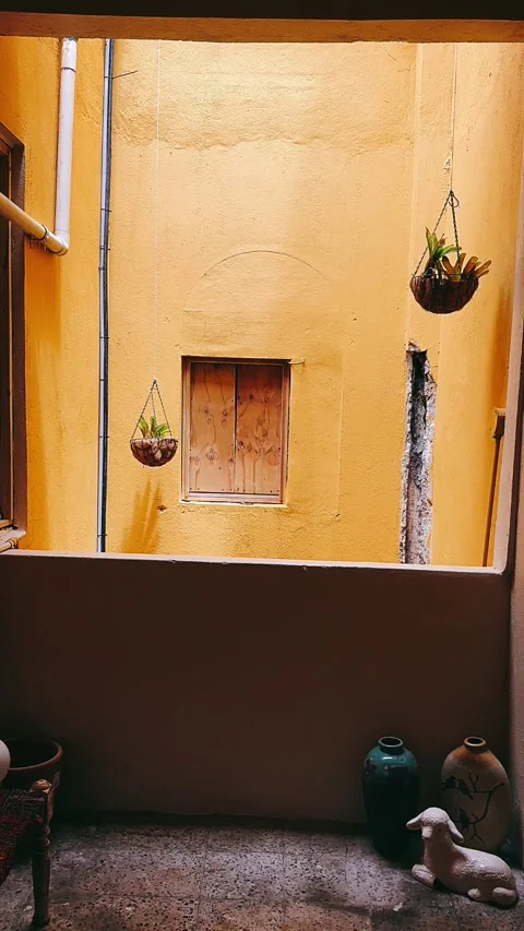 Window in the wall, interior of a house, patio, hanging plants, plants, Stock Footage 245942787