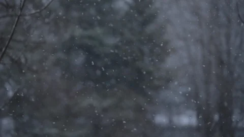 The window went first snow with large snowflakes Stock Footage 86981519