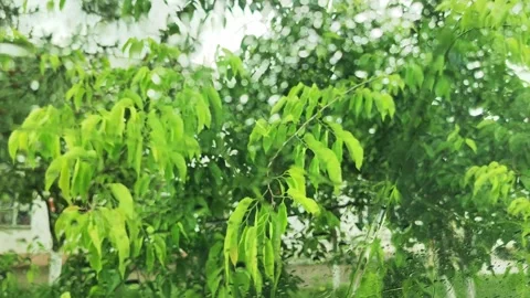 A window where raindrops are visible. The raindrops are small and scattered. Видео 332558177
