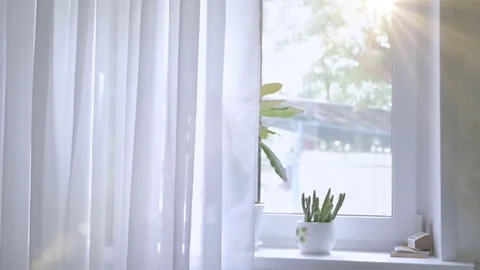 The window is white with curtains. The background Stock Footage 77386174