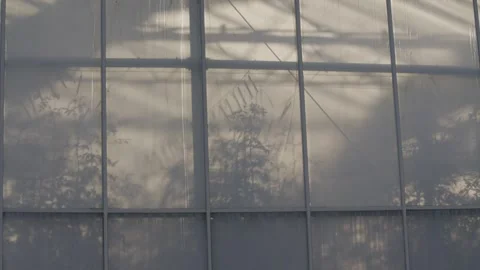 A window with a white frame and a white curtain Stock Footage 297843881