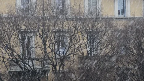 From the window at winter Stock Footage 86798029