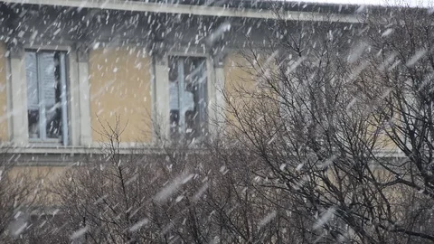 From the window at winter Stock Footage 86799163