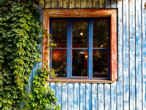 Window with wooden window binding, lights and ivy leaves, blue neutral colour Stock Photos